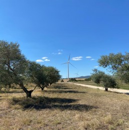 NTR acquires Italian Arlena-Tessennano wind farms from BayWa r.e.